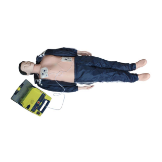 Basic Life Support Manikin