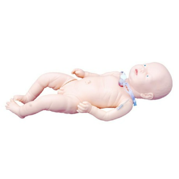 Tracheostomy Care Infant Model