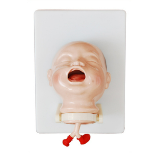 Model of Newborn Intubation