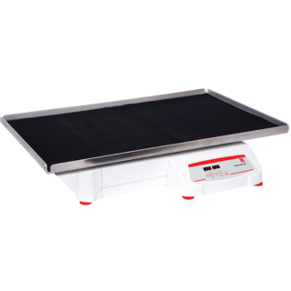 68 kg Capacity Digital Heavy Duty Orbital Shaker 25 mm Orbit