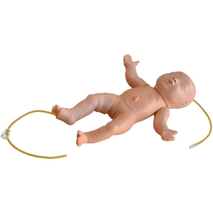 Advanced Infant Full Body Venipuncture Simulator