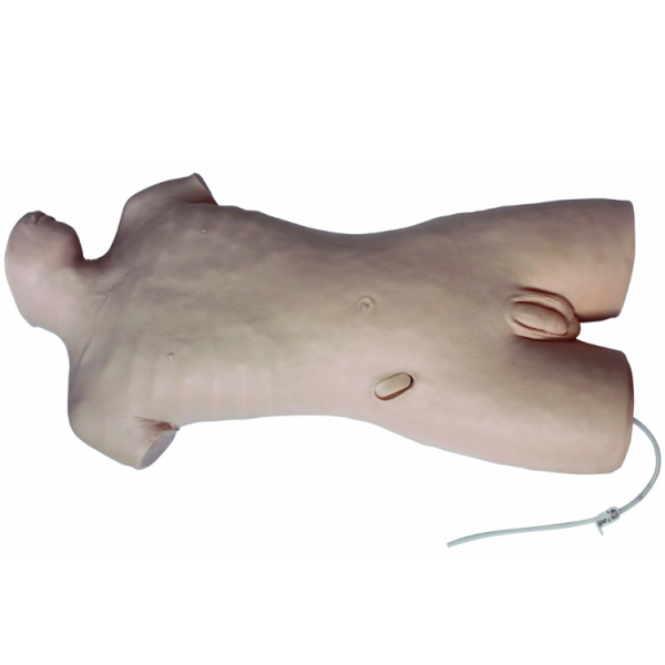 Central Venous Puncture Model