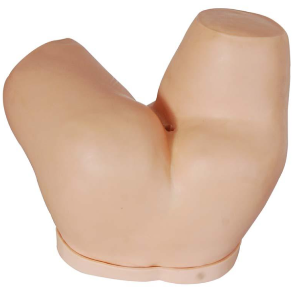 Enema Administration Simulator