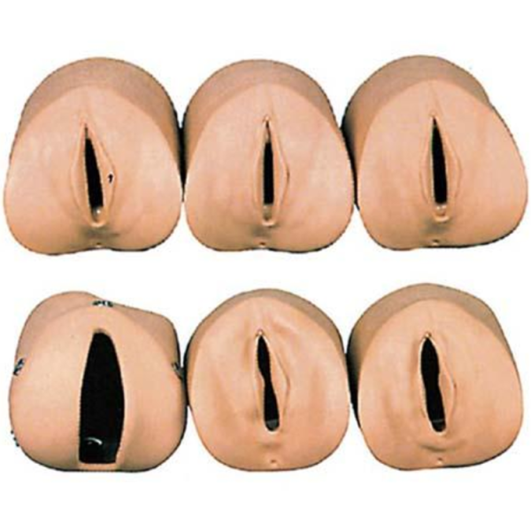 Labor Delivery Module