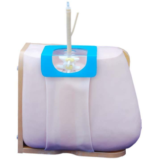 Lumbar Puncture Model