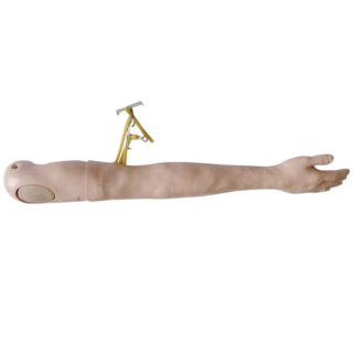 Multi-Functional IV Training Arm