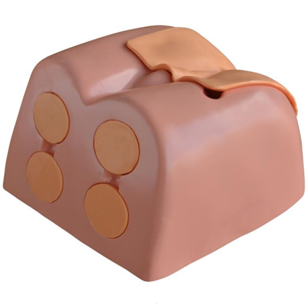 Prostate Examination Simulator