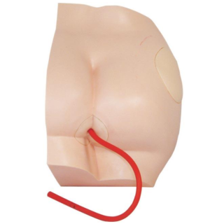 Buttock Injection Model