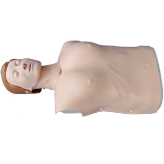 Half Body CPR Training Model (Female)