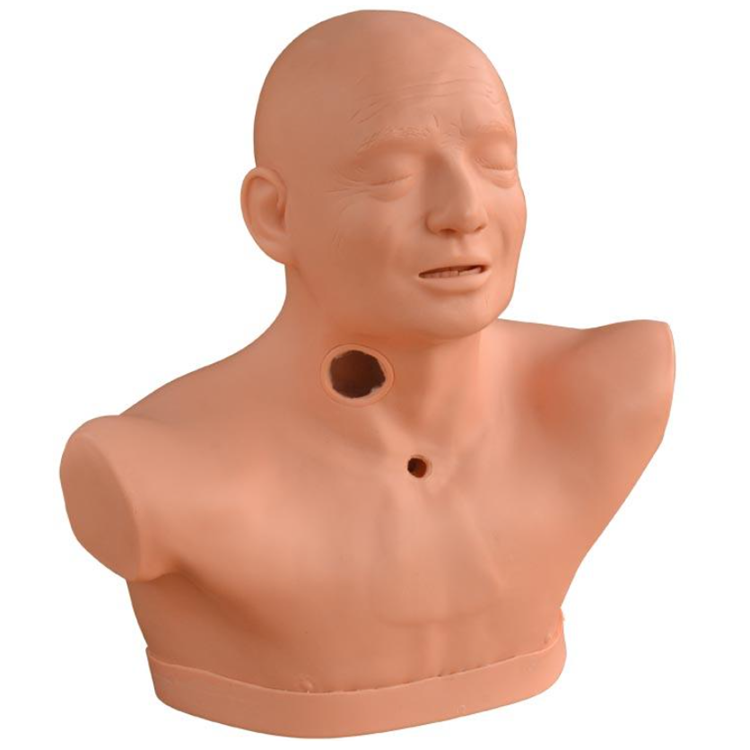 Advanced Adult Tracheotomy Care Model