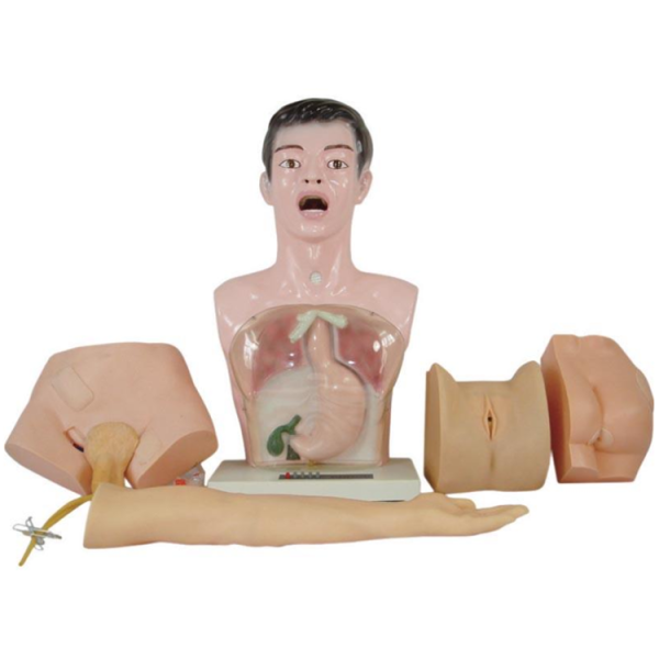 Nurse Basic Practice Teaching Model