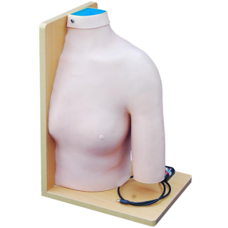 Shoulder Joint Intracavitary Injection Model