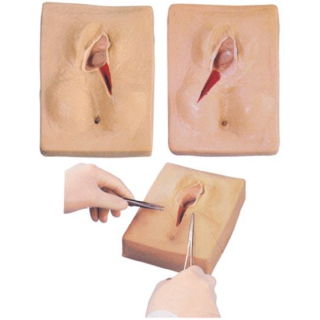 Vulva Suturing Training Simulator