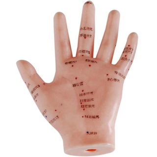 Hand Acupuncture Model 13CM