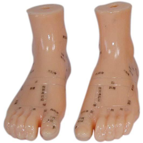 Massage Foot Model 12CM