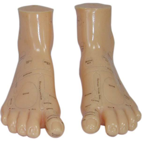 Massage Foot Model 17CM